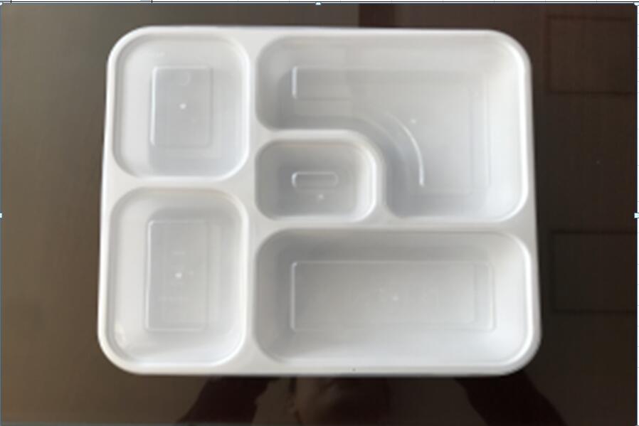 Multi-compartment bento box Series